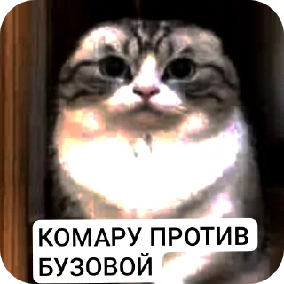 Sticker from АНТИ БУЗОВА