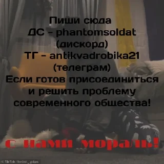 Sticker from Анти квд