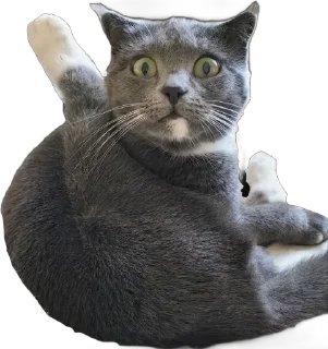 Sticker from Мои друзья
