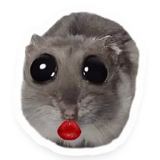 Sticker from Хомяк
