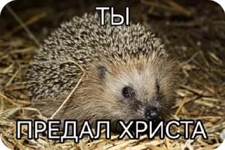 Sticker from Чел