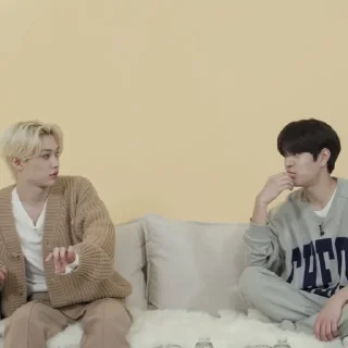 Sticker from felix&seungmin |@skzstickersss