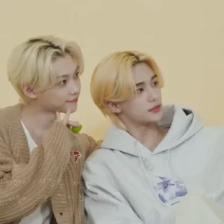 Sticker from hyunjin&felix |@skzstickersss