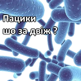 Sticker from мікрочеліки @blyadtoivo