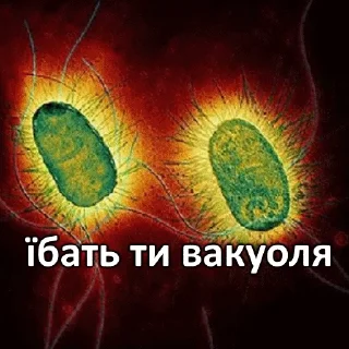 Sticker from мікрочеліки @blyadtoivo