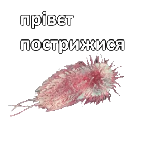 Sticker from мікрочеліки @blyadtoivo