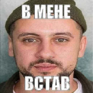 🤟 emoji реально підераси @blyadtoivo Telegram sticker 10 of 31