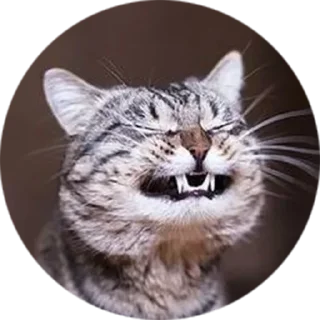 Sticker from Любимые