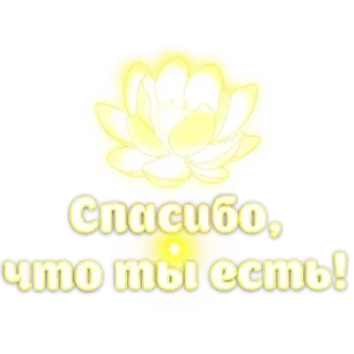 Sticker from Любимые, Живите в Радости @pozitivpovsudu