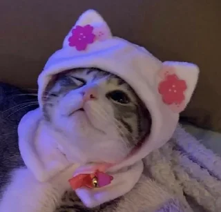 🌟 emoji мне не интересно pack by @QuotLyBot Telegram sticker 7 of 69