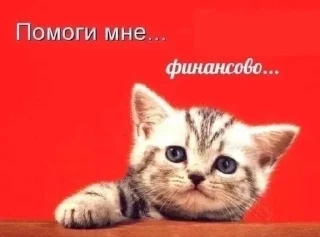 Sticker from я охуенен @satori_666