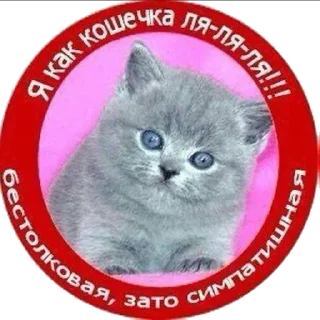 Sticker from я охуенен @satori_666