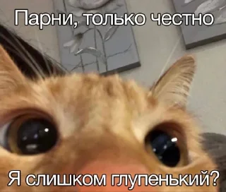 🤩 emoji рыжики Telegram sticker 23 of 106