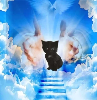 Sticker from cursed kittens 2 @satori_666