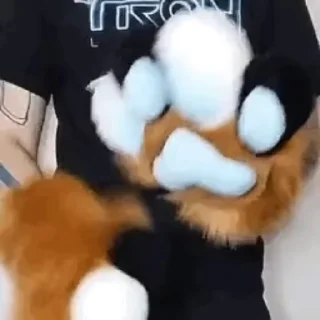 🐾 emoji рожден быть котёнком, вынужден Telegram sticker 5 of 98