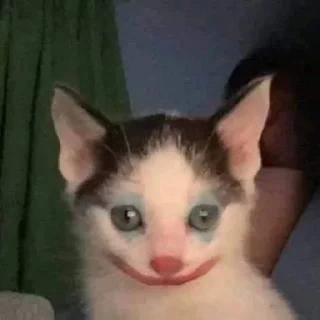 🤩 emoji cursed kittens 2 @satori_666 Telegram sticker 9 of 111