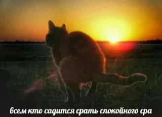 Sticker from я охуенен @satori_666