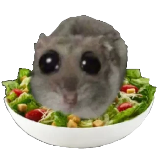 🥗 emoji @STICKRULE <- БОЛЬШЕ Telegram sticker 6 of 119