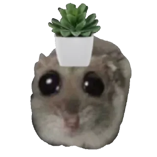 🪴 emoji @STICKRULE <- БОЛЬШЕ Telegram sticker 16 of 119