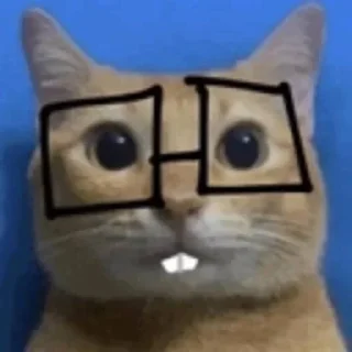🤓 emoji cursed kittens  @satori_666 Telegram sticker 13 of 120