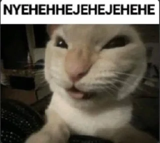 🥴 emoji cursed kittens  @satori_666 Telegram sticker 23 of 120