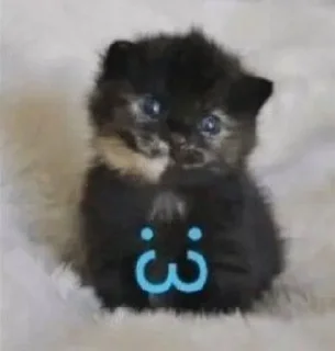 😊 emoji cursed kittens  @satori_666 Telegram sticker 10 of 120