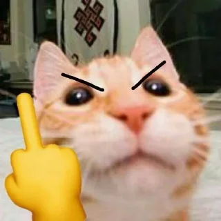 😡 emoji cursed kittens  @satori_666 Telegram sticker 9 of 120