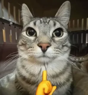 🤫 emoji cursed kittens  @satori_666 Telegram sticker 19 of 120