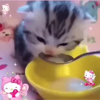 🐱 emoji мої кітики two Telegram sticker 6 of 85