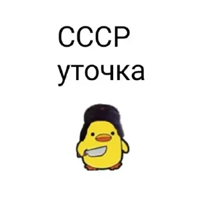 🌟 emoji уточки Telegram sticker 23 of 35