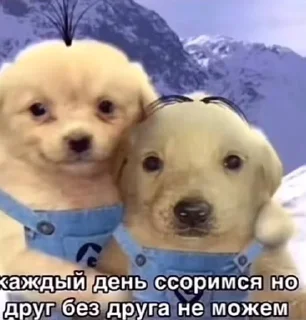 Sticker from скандал