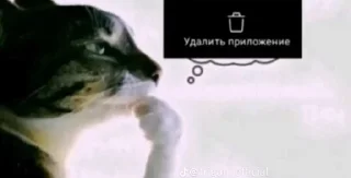 Картинки с комментов в тт sticker 2
