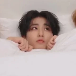 Sticker from STRAY KIDS