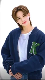 Sticker from STRAY KIDS