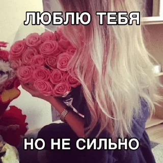 Sticker from слэй квин (дамы пак)