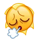 😮‍💨 emoji Sun Emoji @xkysluv Telegram sticker 12 of 40