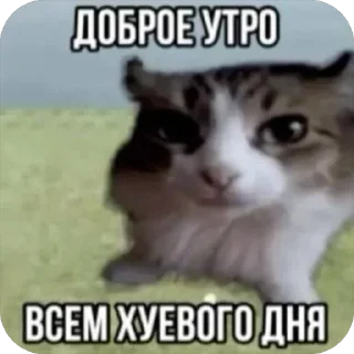 🥰 emoji Ода Telegram sticker 7 of 74