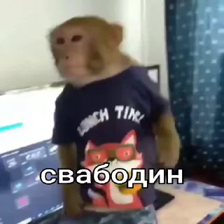 Sticker from бибизяны By:@SMILL222