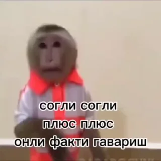 🌟 emoji Крутые бибизяны Telegram sticker 10 of 120