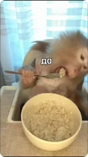 😋 emoji Крутые бибизяны Telegram sticker 5 of 120