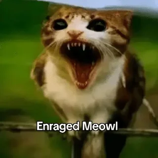 🌟 emoji Meowl-by-@release_owner0 Telegram sticker 15 of 50