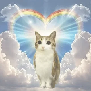 Sticker from meowl