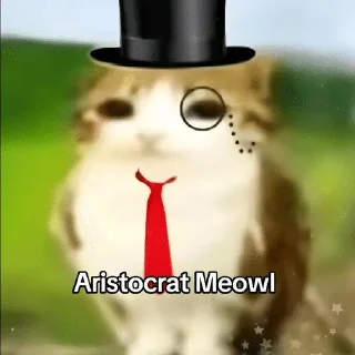 🌟 emoji Meowl-by-@release_owner0 Telegram sticker 8 of 50