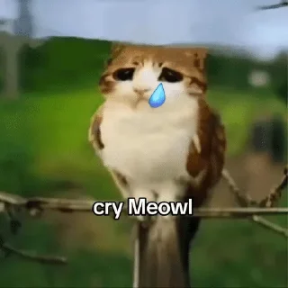 🌟 emoji Meowl-by-@release_owner0 Telegram sticker 10 of 50