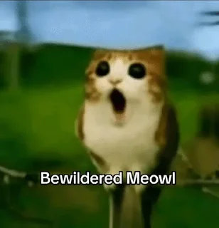 🌟 emoji Meowl-by-@release_owner0 Telegram sticker 2 of 50