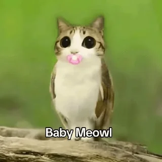 🌟 emoji Meowl-by-@release_owner0 Telegram sticker 5 of 50