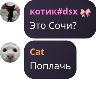 👩‍🍳 emoji хаус Telegram sticker 24 of 29