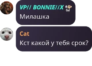 👨‍🍳 emoji хаус Telegram sticker 17 of 29
