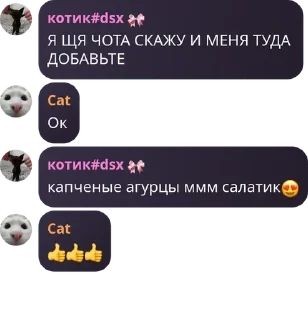 😍 emoji хаус Telegram sticker 19 of 29