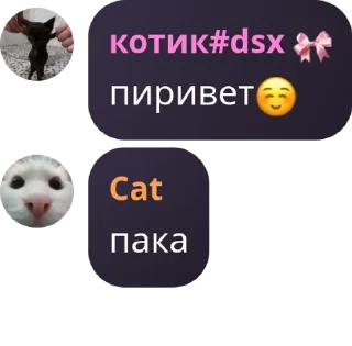 ☺️ emoji хаус Telegram sticker 20 of 29